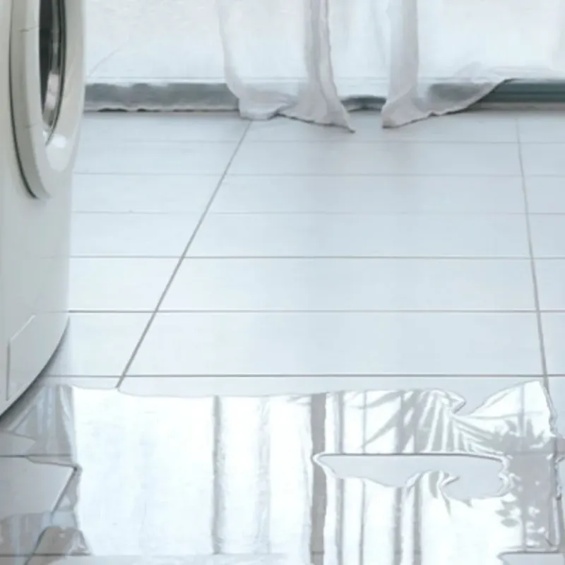 Appliance Leak Cleanup in Fox Island, WA