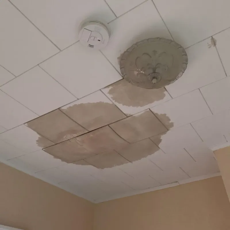Ceiling Water Damage Repair in Fox Island, WA