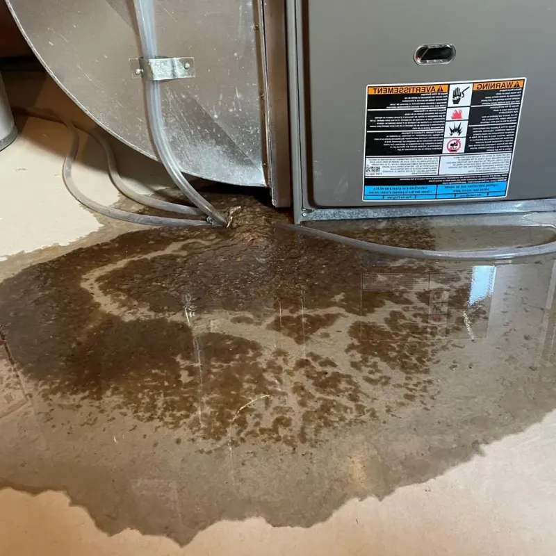 Pipe Burst and Leak Restoration in Fox Island, WA