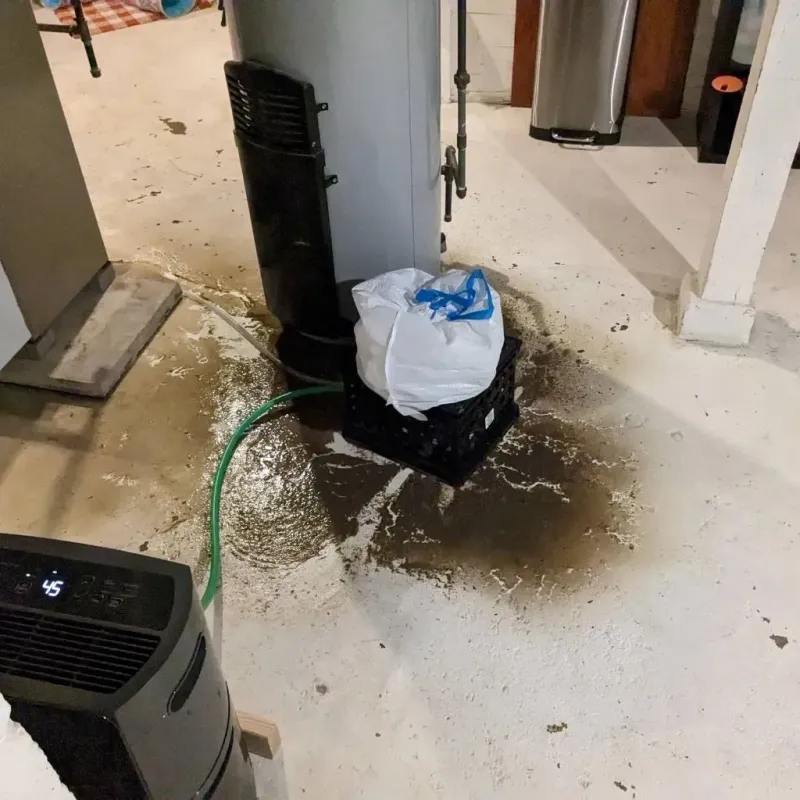 Sewage Backup Cleanup Service in Fox Island, WA